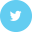 Twitter Icon